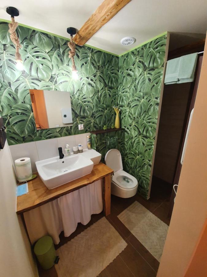 Siedlisko Odpoczynkowo Villa Nowosiolki  Екстериор снимка