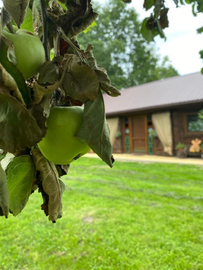 Siedlisko Odpoczynkowo Villa Nowosiolki  Екстериор снимка