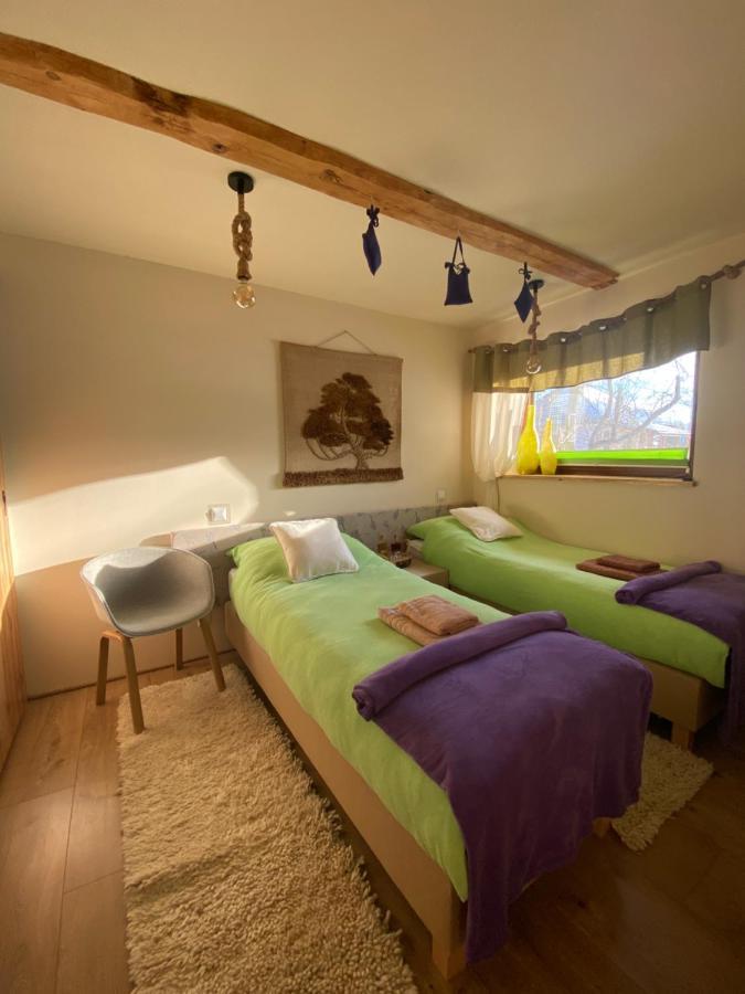 Siedlisko Odpoczynkowo Villa Nowosiolki  Екстериор снимка
