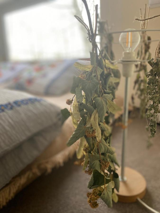 Siedlisko Odpoczynkowo Villa Nowosiolki  Екстериор снимка